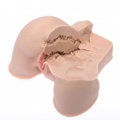 Мастурбатор-полуторс Naked Factory Kate - Naked Factory - в Домодедово купить с доставкой