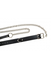 Черный ошейник с поводком Wild - Lola Games - купить с доставкой в Домодедово