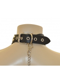 Ошейник  Веселый Роджер - Sitabella - купить с доставкой в Домодедово