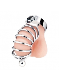Серебристая клетка для члена Urethral Play Cage - BlueLine - купить с доставкой в Домодедово