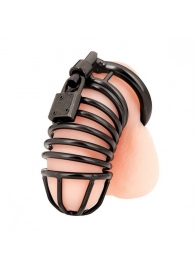 Черная металлическая клетка с замком Deluxe Chastity Cage - BlueLine - купить с доставкой в Домодедово