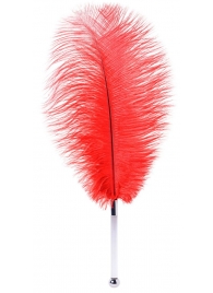 Красное страусовое пёрышко - ToyFa - купить с доставкой в Домодедово
