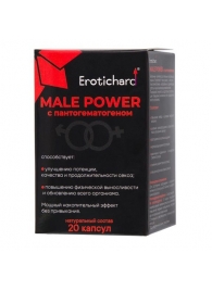 Капсулы для мужчин Erotichard male power с пантогематогеном - 20 капсул (0,370 гр.) - Erotic Hard - купить с доставкой в Домодедово
