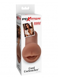Мастурбатор-ротик Coed Cocksucker - Pipedream - в Домодедово купить с доставкой