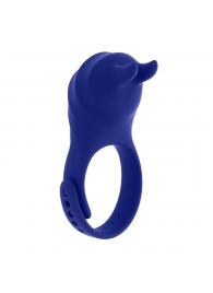 Синее эрекционное виброкольцо с клиторальной подушечкой и пультом ДУ Adjustable Fun Ring - Zero Tolerance - в Домодедово купить с доставкой