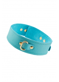 Голубой кожаный однослойный ошейник с прошивкой - Pecado - купить с доставкой в Домодедово