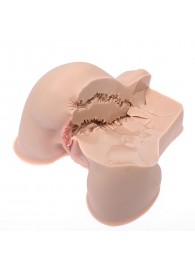 Мастурбатор-полуторс Naked Factory Kate - Naked Factory - в Домодедово купить с доставкой