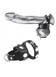Утяжка для мошонки и пениса Cock Ring With 1  Ball Stretcher And Optional Weight Ring - BlueLine - купить с доставкой в Домодедово