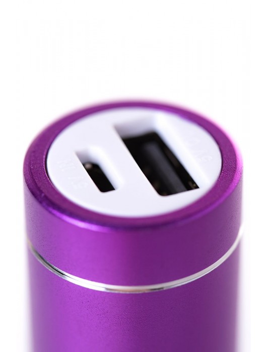 Портативное зарядное устройство A-toys 2400 mAh microUSB - A-toys - купить с доставкой в Домодедово