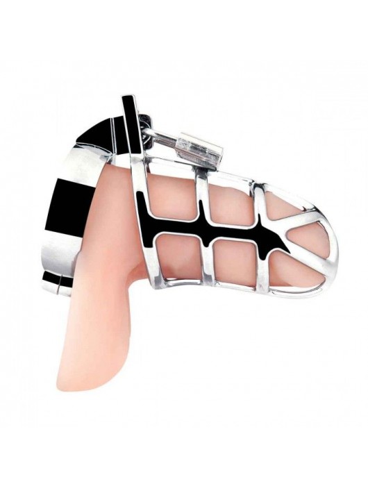 Серебристая металлическая клетка для члена с замком Enslave Cock Cage - BlueLine - купить с доставкой в Домодедово