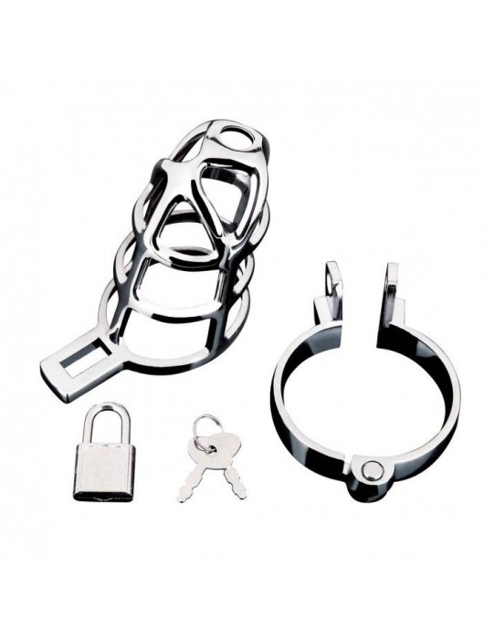 Серебристая металлическая клетка для члена с замком Enslave Cock Cage - BlueLine - купить с доставкой в Домодедово