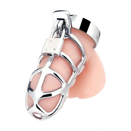 Серебристая металлическая клетка для члена с замком Enslave Cock Cage - BlueLine - купить с доставкой в Домодедово