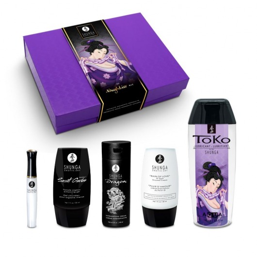 Подарочный набор Naughter Kit - Shunga - купить с доставкой в Домодедово