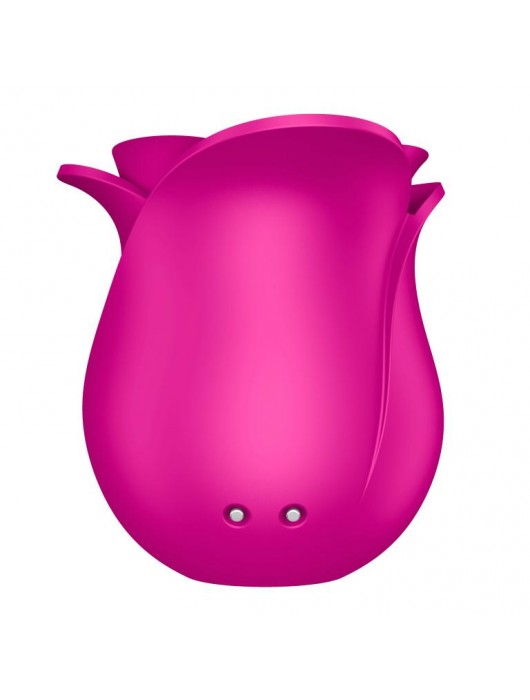 Ярко-розовый вакуум-волновой стимулятор Pro 2 Modern Blossom - Satisfyer