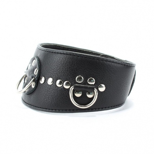 Чёрный кожаный ошейник с полукольцами и клёпками - БДСМ Арсенал - купить с доставкой в Домодедово