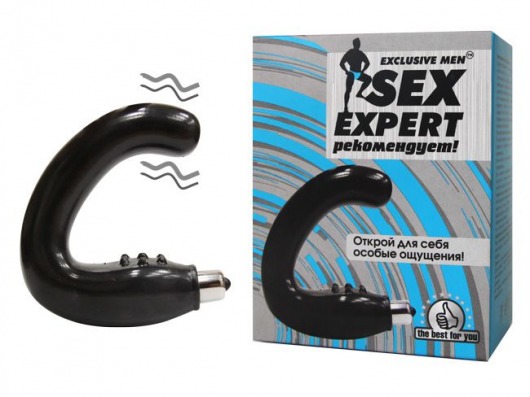 Чёрный массажёр простаты серии Sex Expert - Sex Expert - в Домодедово купить с доставкой