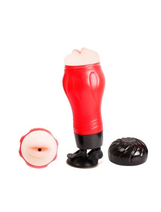 Мега-мастурбатор-ротик Flora - Baile - в Домодедово купить с доставкой