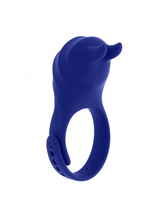 Синее эрекционное виброкольцо с клиторальной подушечкой и пультом ДУ Adjustable Fun Ring - Zero Tolerance - в Домодедово купить с доставкой