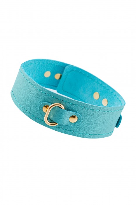Голубой кожаный однослойный ошейник с прошивкой - Pecado - купить с доставкой в Домодедово