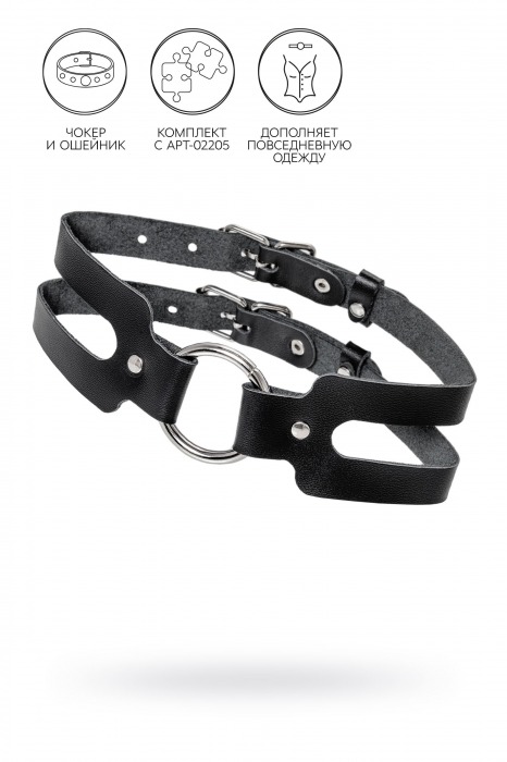 Черный кожаный чокер-ошейник из двух ремешков - Pecado - купить с доставкой в Домодедово