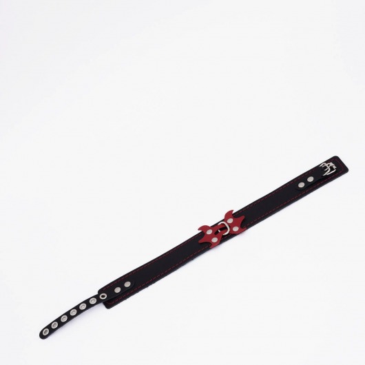 Черный ошейник с красным декором и строчкой - Crazy Handmade - купить с доставкой в Домодедово