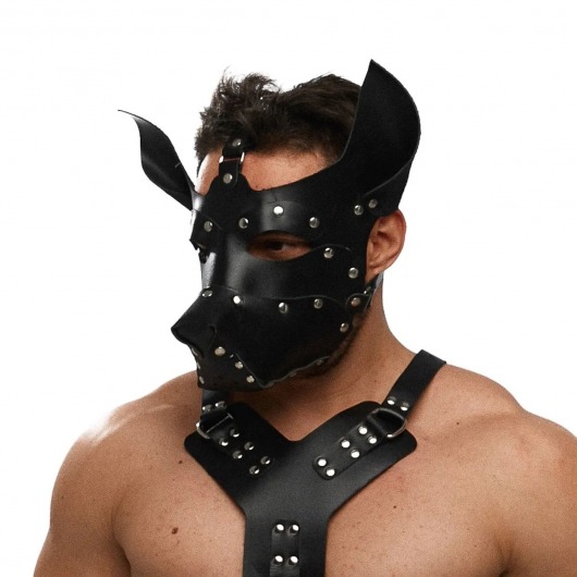 Черная кожаная маска «Собака» - Crazy Handmade - купить с доставкой в Домодедово