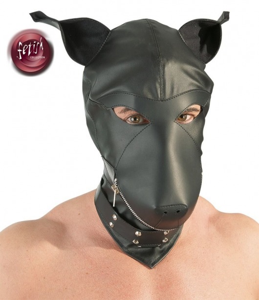 Шлем-маска Dog Mask в виде морды собаки - Orion - купить с доставкой в Домодедово