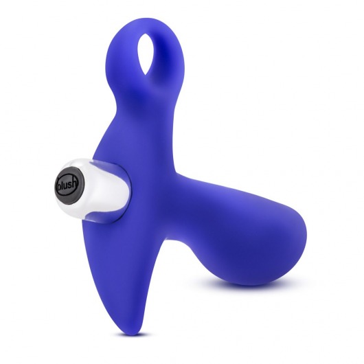 Синий стимулятор простаты с ручкой-кольцом Performance Prostimulator 02 - Blush Novelties - в Домодедово купить с доставкой