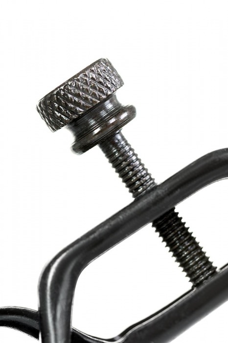 Черно-золотистые зажимы для сосков TOYFA Theatre - ToyFa - купить с доставкой в Домодедово