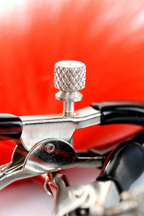 Зажимы для сосков с красным пухом Theatre - ToyFa - купить с доставкой в Домодедово