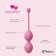 Набор из 3 розовых вагинальных шариков FemmeFit Advanced Pelvic Muscle Training Set - FeelzToys в Домодедово Набор из 3 розовых вагинальных шариков FemmeFit Advanced Pelvic Muscle Training Set - FeelzToys